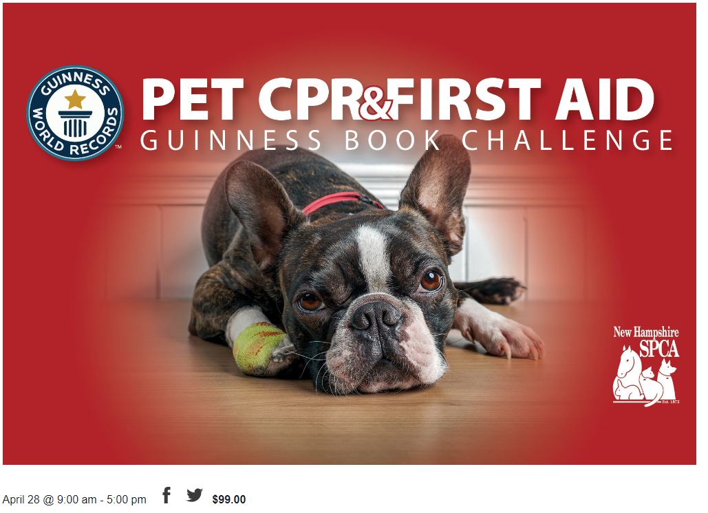 Pet CPR and First Aid – Guinness Book Challenge
