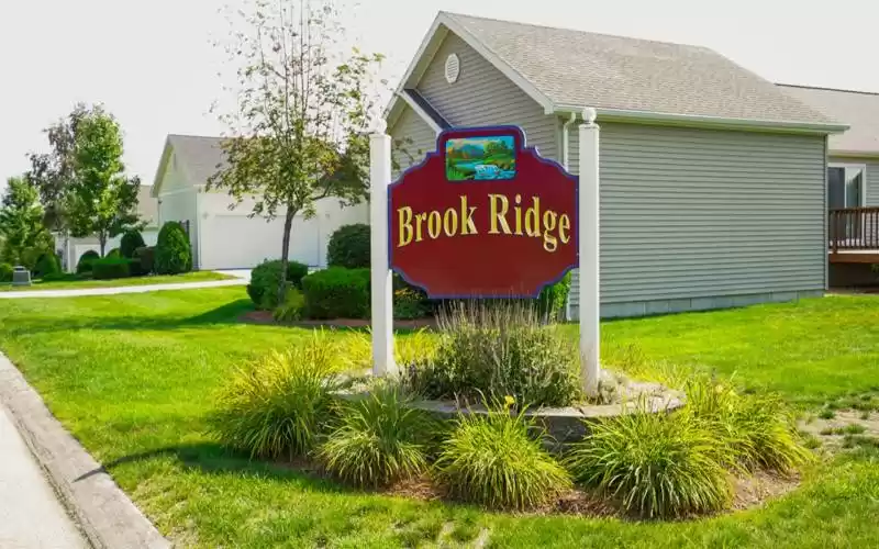 Brook Ridge 55  Community